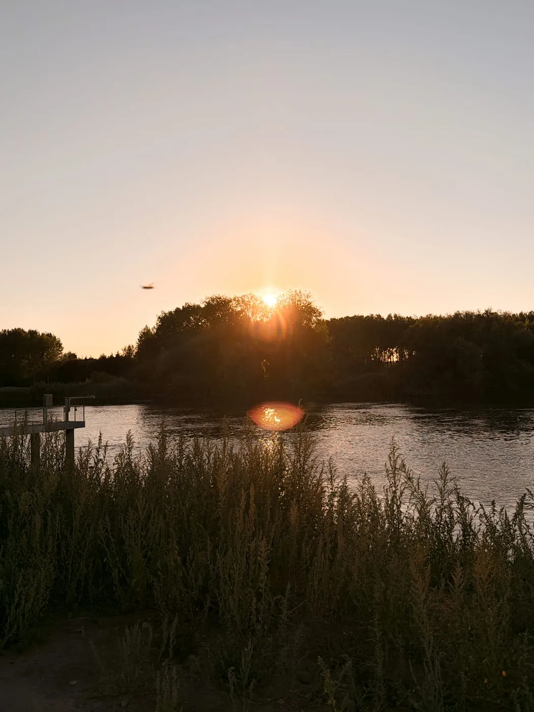 Gouden zonsondergang boven de Schelde