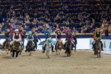 Springruiter in actie tijdens Jumping Mechelen in de Nekkerhal